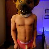 norsehyena