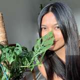 onlyplants2