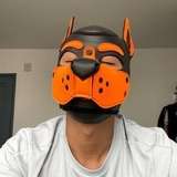 pup_rawuu