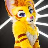 thatyellowkitty