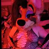 murrparty