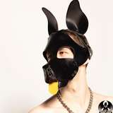 puppydavey