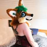 furry_foxxy