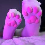 nomitys