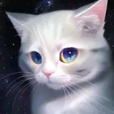 ZABUTON