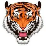 Tiger2002